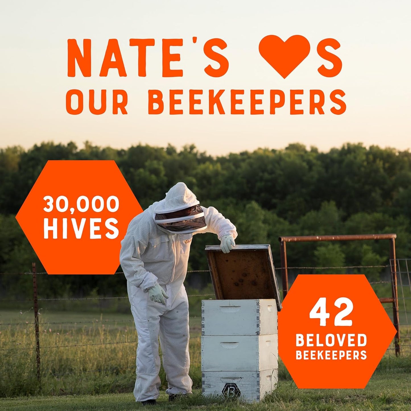 Nate'S Louisiana 100% Pure, Raw & Unfiltered Honey - 12 Oz. Honey Bear Bottle - All-Natural Sweetener