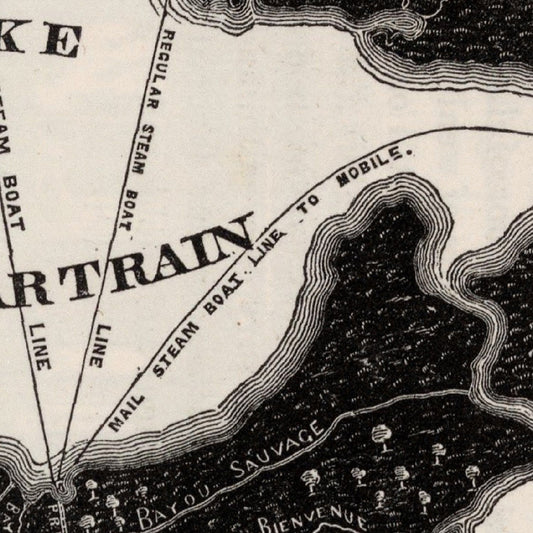 Vintage Map of New Orleans, Louisiana 1845